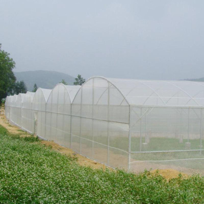 Aphid Net Insect Proof Mesh Greenhouse Shadow Anti-Insect Net 40