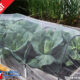 greenhouse insect netting wholesale